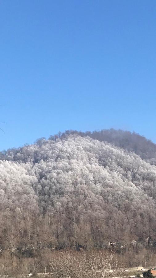 Pine Mountain Inn Pineville エクステリア 写真