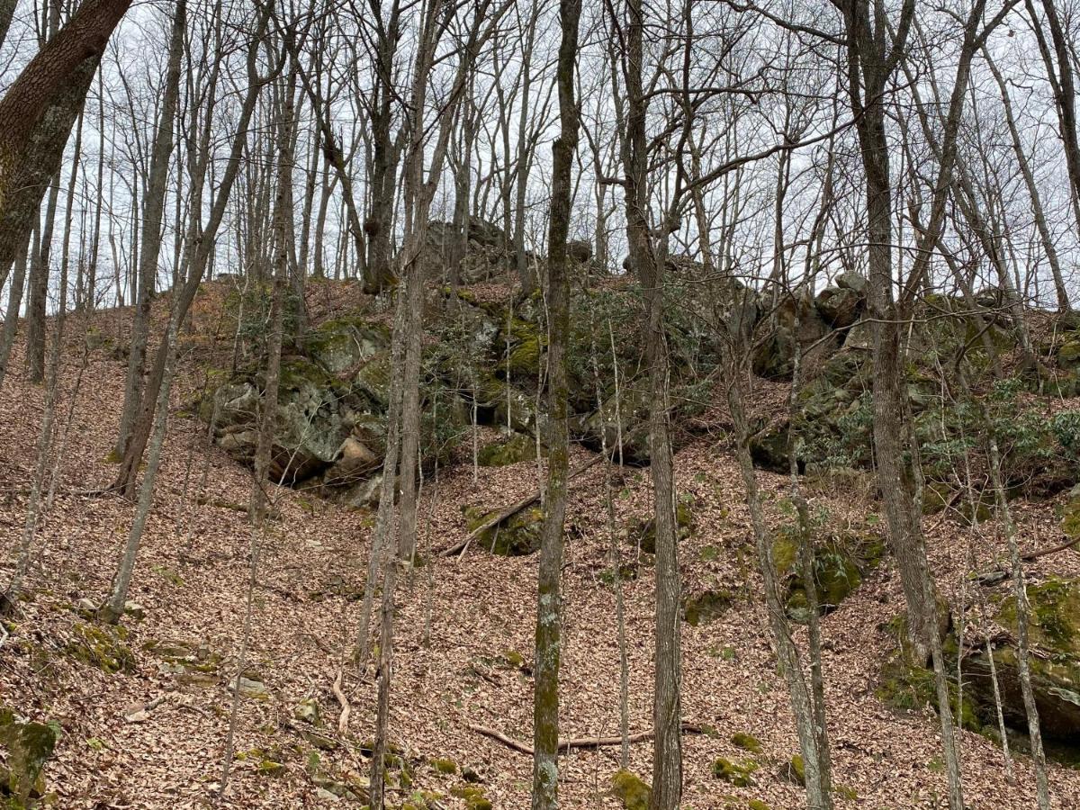 Pine Mountain Inn Pineville エクステリア 写真
