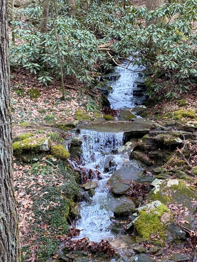 Pine Mountain Inn Pineville エクステリア 写真