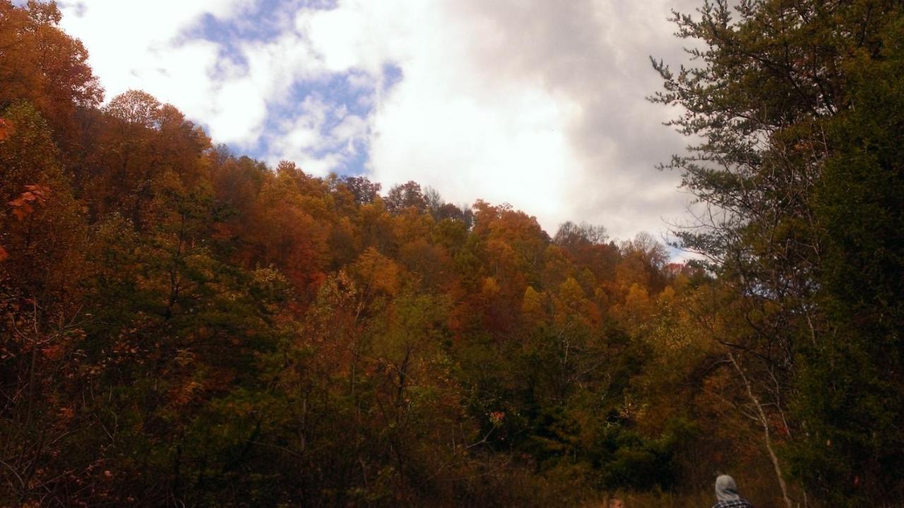 Pine Mountain Inn Pineville エクステリア 写真