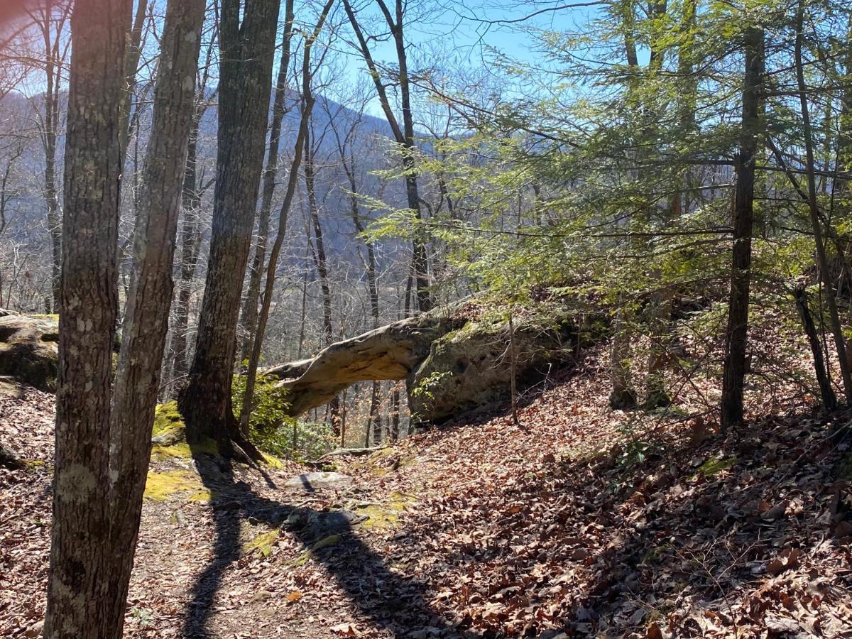 Pine Mountain Inn Pineville エクステリア 写真